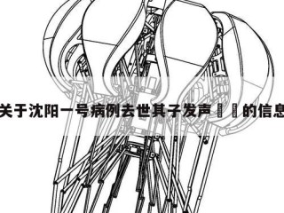 关于沈阳一号病例去世其子发声㊙️的信息