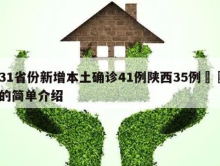 31省份新增本土确诊41例陕西35例㊙️的简单介绍